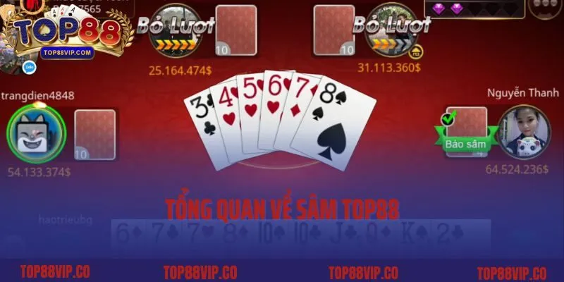 Tổng quan về Sâm Top88