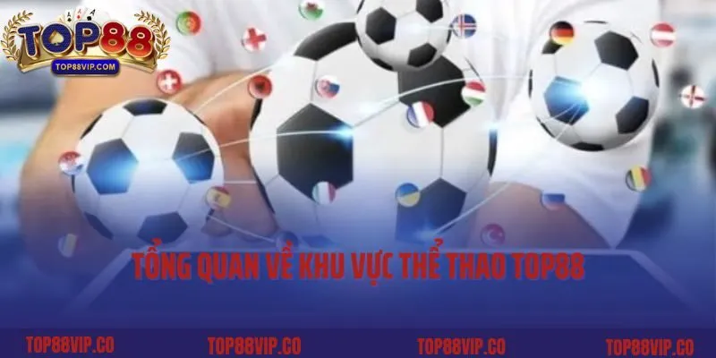 Tổng quan về khu vực thể thao Top88