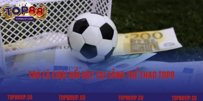 Trò cá cược nổi bật tại sảnh Thể thao Top8